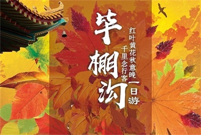 【春花秋葉，夏涼冬雪】-畢棚溝半自由行一日游，成都出發(fā)